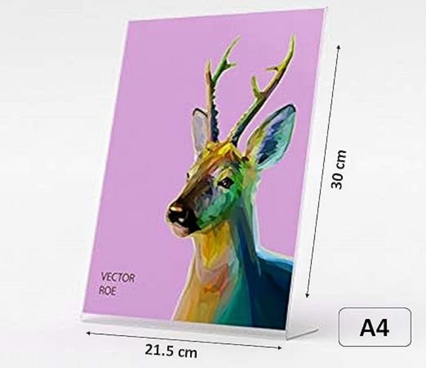 Acrylic Display Stand Card Holder A4 size Paper Holder Stand of 3 mm each